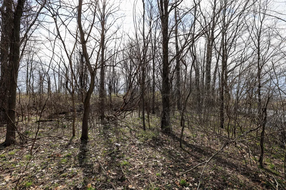 CR 352 Decatur, MI 49045