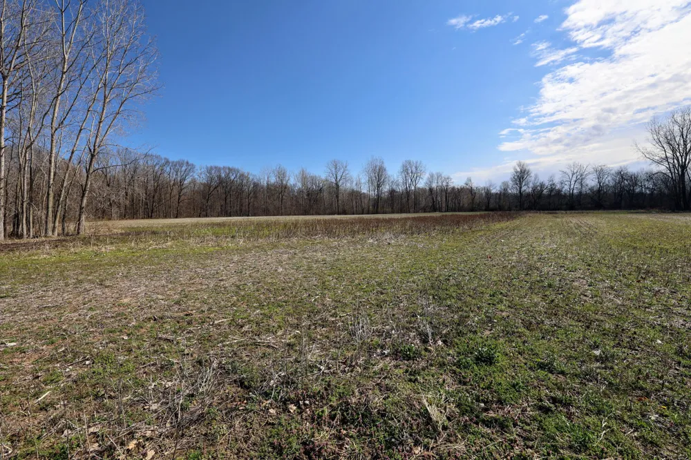 CR 352 Decatur, MI 49045