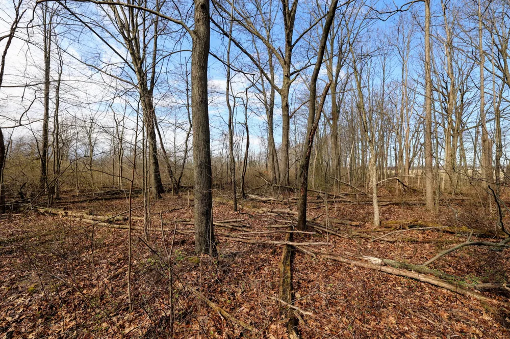 CR 352 Decatur, MI 49045