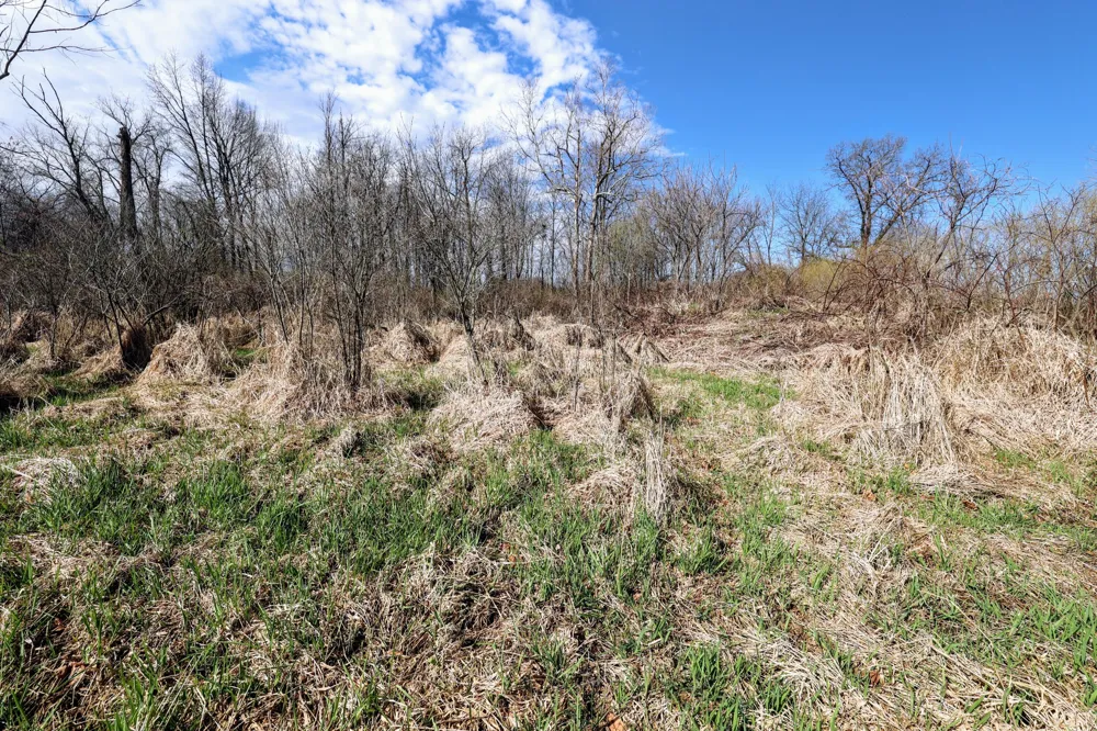 CR 352 Decatur, MI 49045