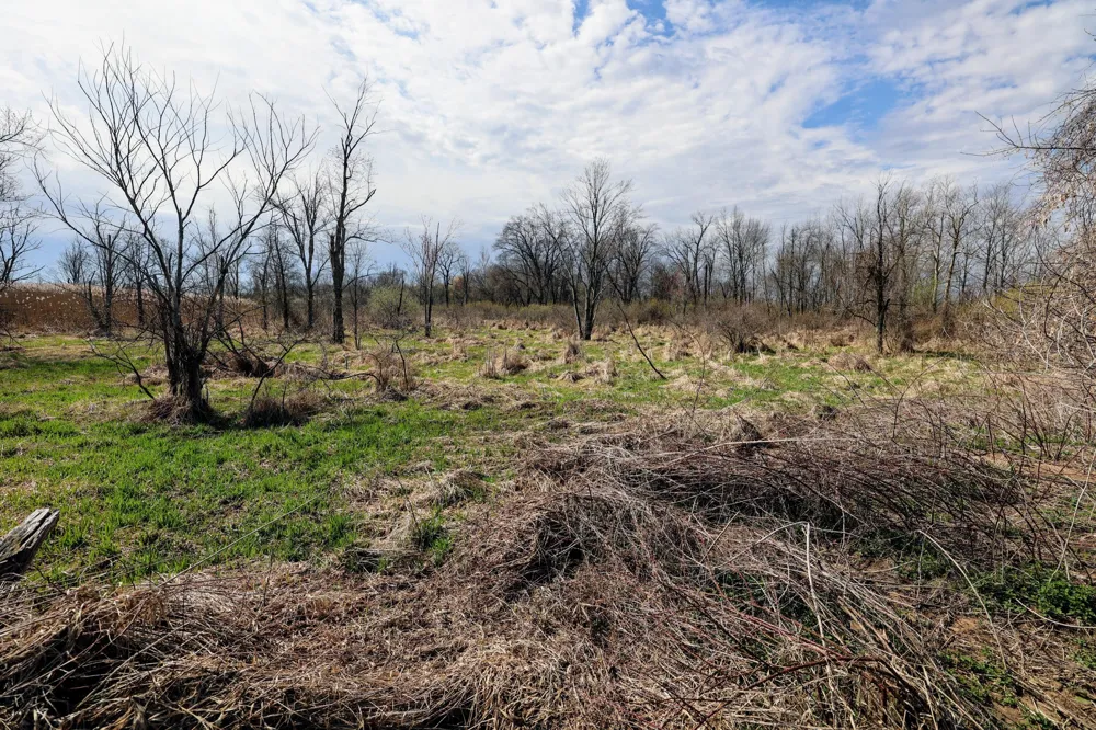 CR 352 Decatur, MI 49045