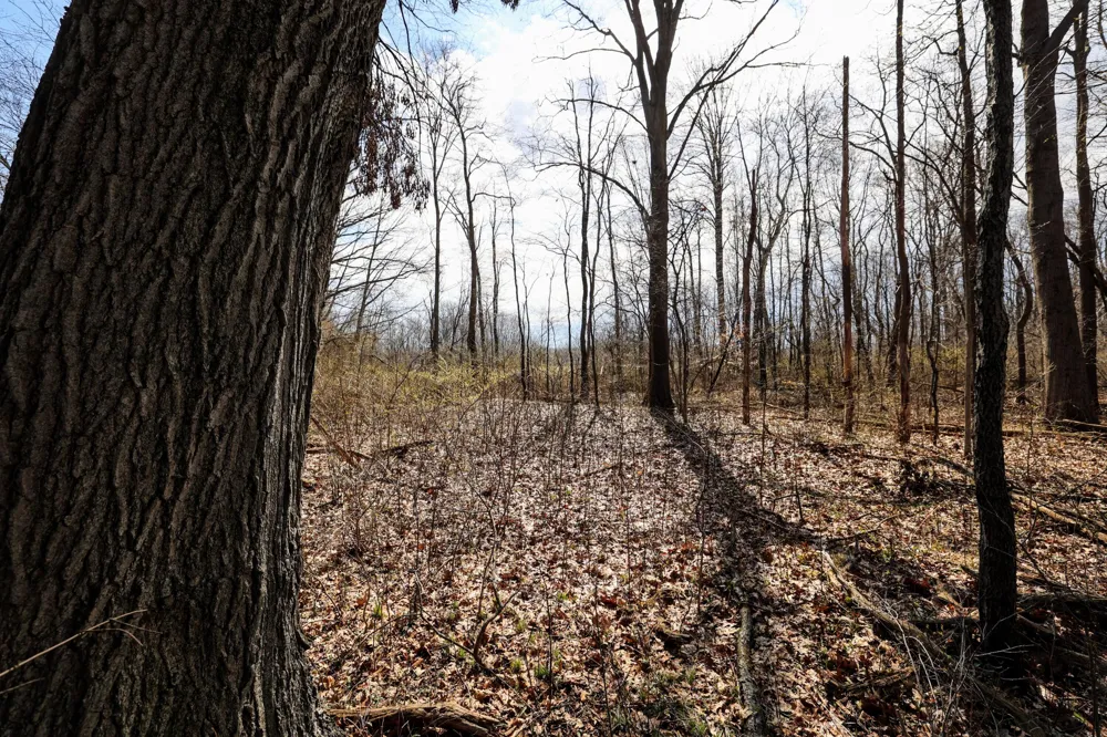 CR 352 Decatur, MI 49045