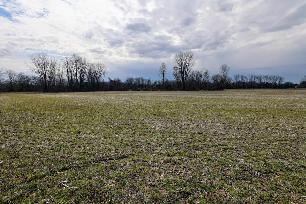 CR 352 Decatur, MI 49045