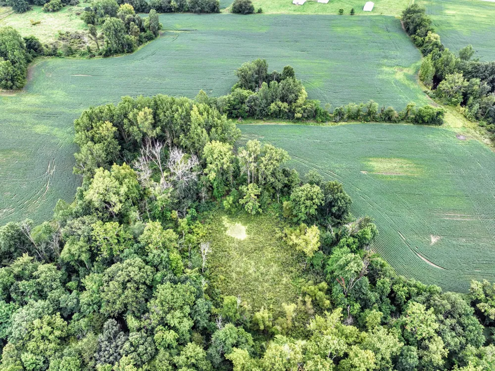 CR 352 Decatur, MI 49045