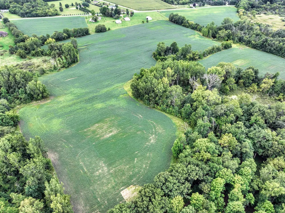 CR 352 Decatur, MI 49045