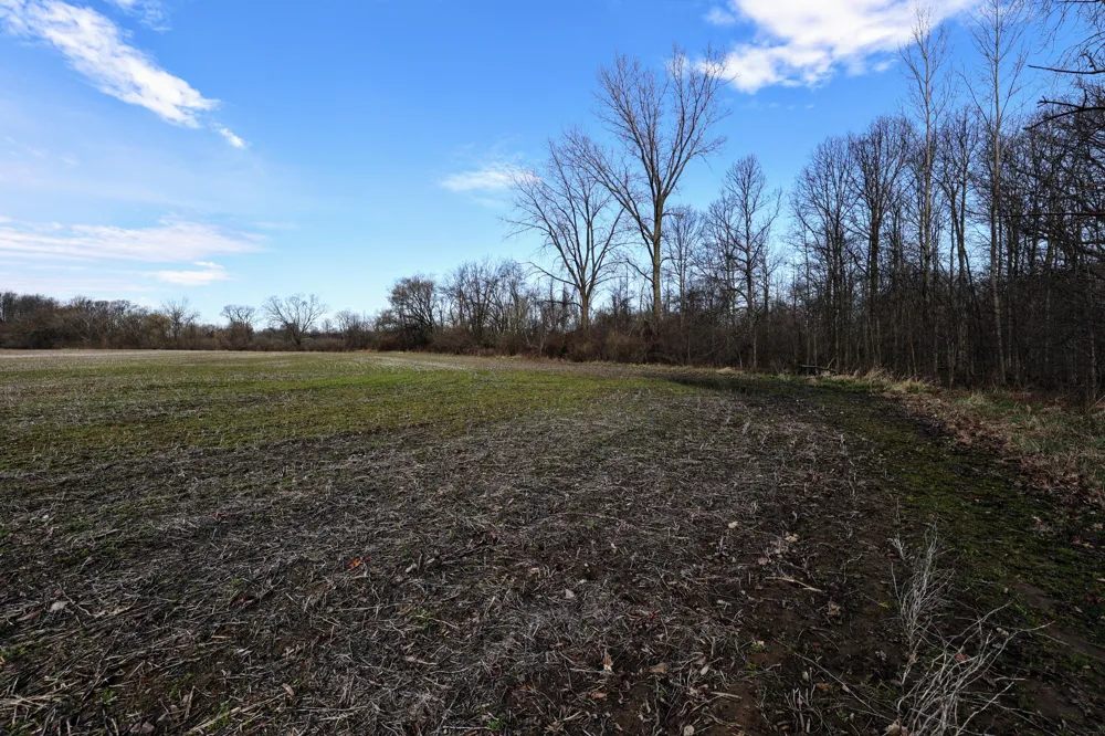 CR 352 Decatur, MI 49045