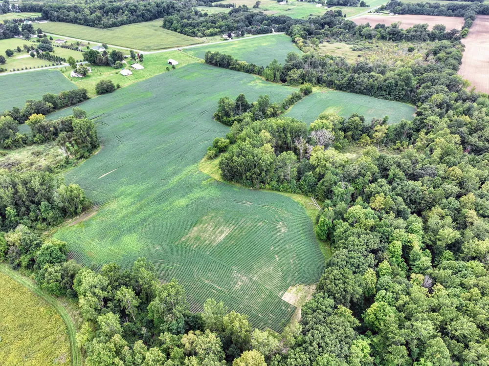 CR 352 Decatur, MI 49045
