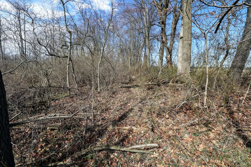CR 352 Decatur, MI 49045