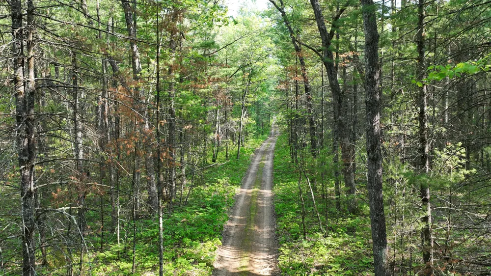 Benson Rd / Frd 5259 Free Soil, MI 49411