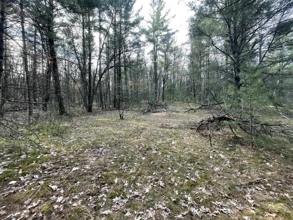 Benson Rd / Frd 5259 Free Soil, MI 49411