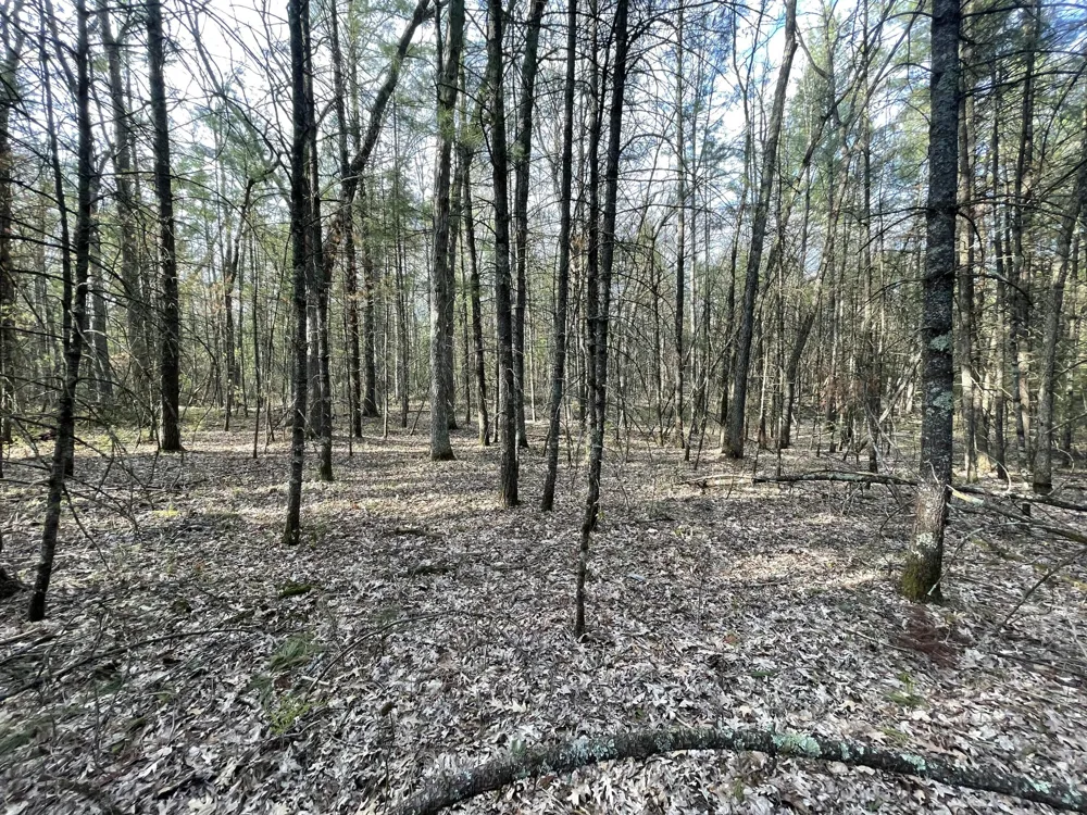 Benson Rd / Frd 5259 Free Soil, MI 49411