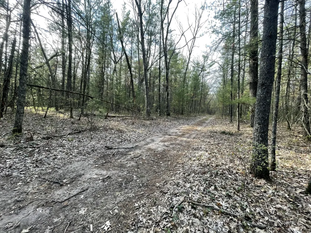 Benson Rd / Frd 5259 Free Soil, MI 49411