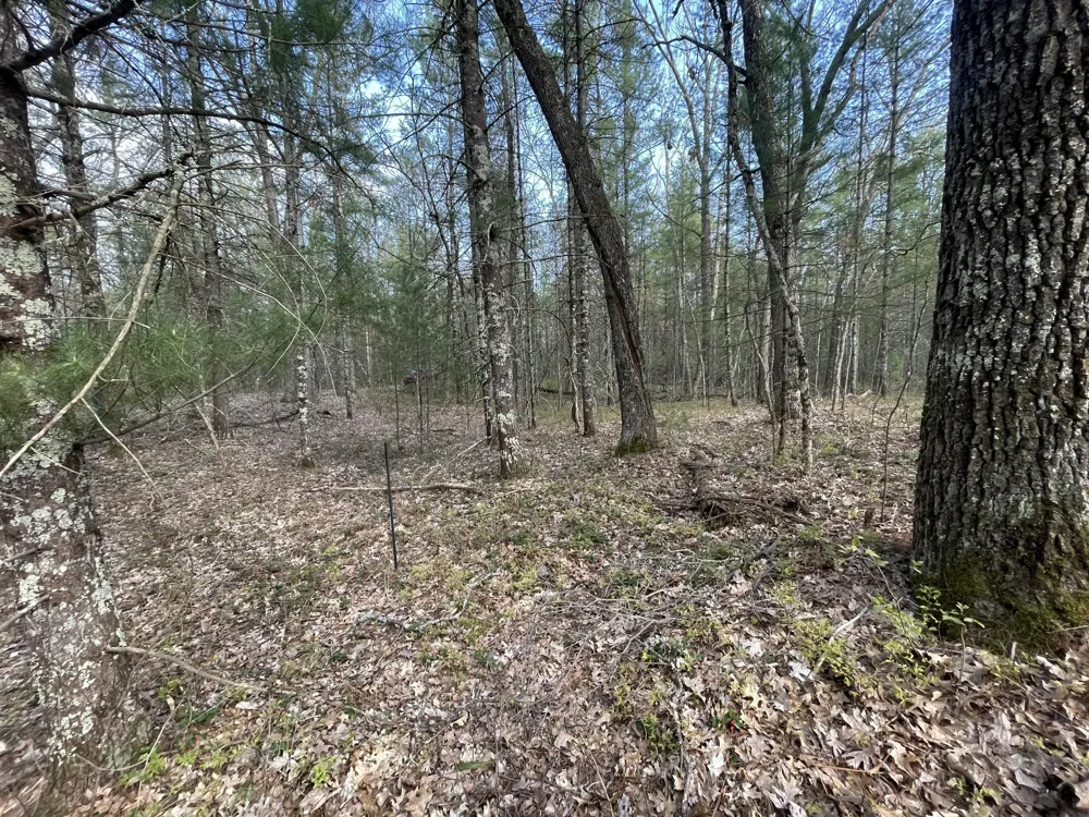 Benson Rd / Frd 5259 Free Soil, MI 49411