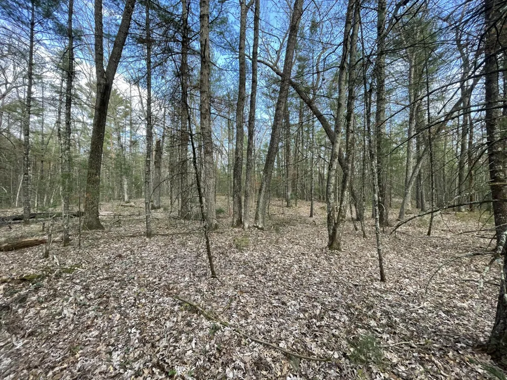 Benson Rd / Frd 5259 Free Soil, MI 49411
