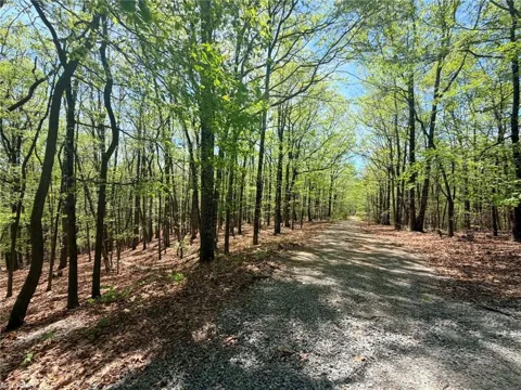 TBD Raven Ridge Trail