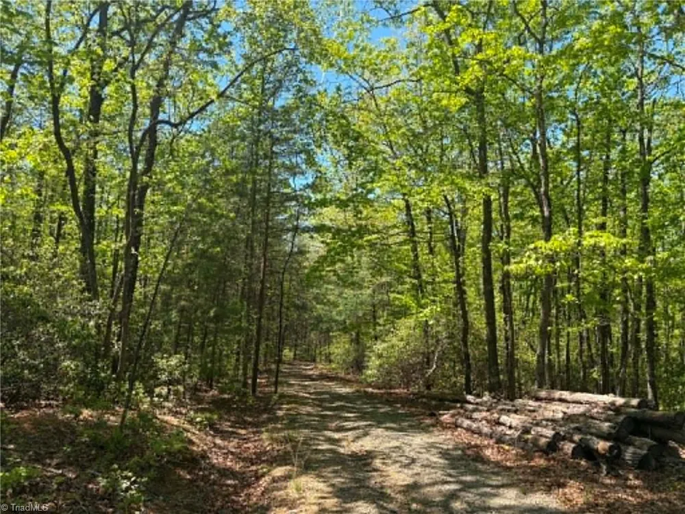 TBD Raven Ridge Trail Dobson, NC 27017