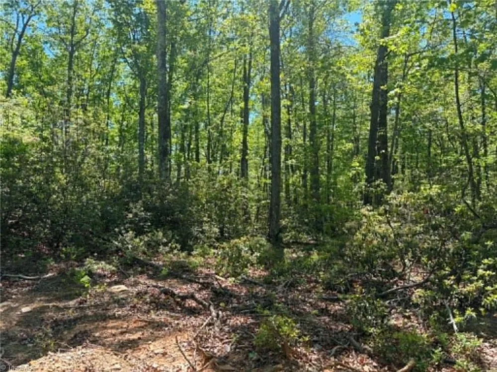 TBD Raven Ridge Trail Dobson, NC 27017