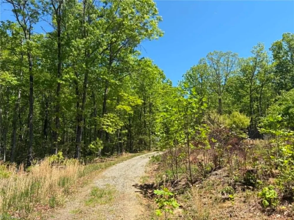 TBD Raven Ridge Trail Dobson, NC 27017