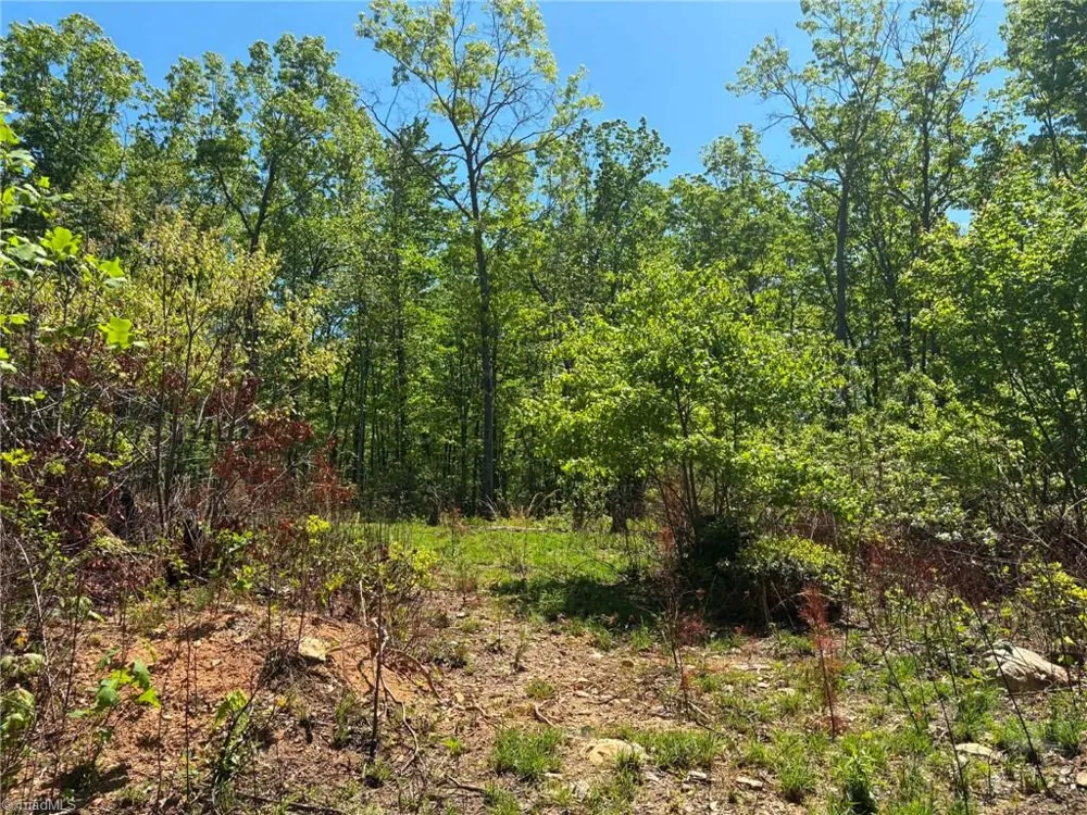 TBD Raven Ridge Trail Dobson, NC 27017