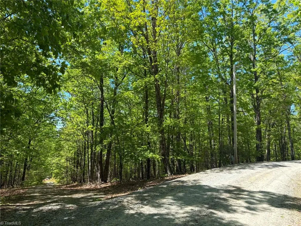 TBD Raven Ridge Trail Dobson, NC 27017
