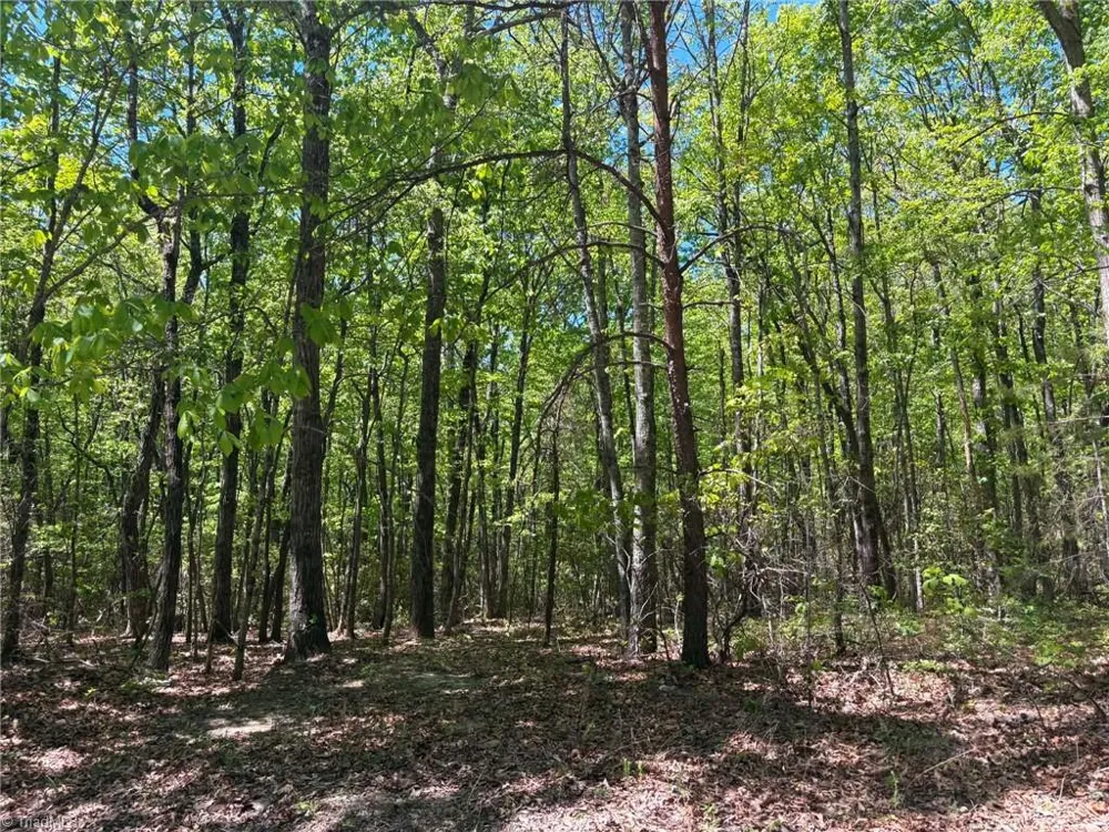 TBD Raven Ridge Trail Dobson, NC 27017