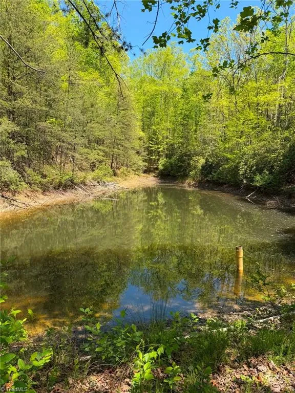 TBD Raven Ridge Trail Dobson, NC 27017