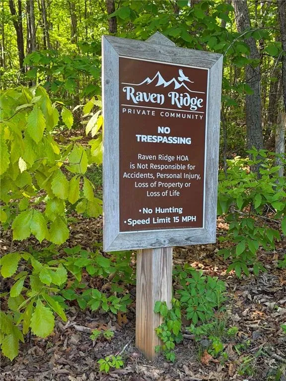 TBD Raven Ridge Trail Dobson, NC 27017