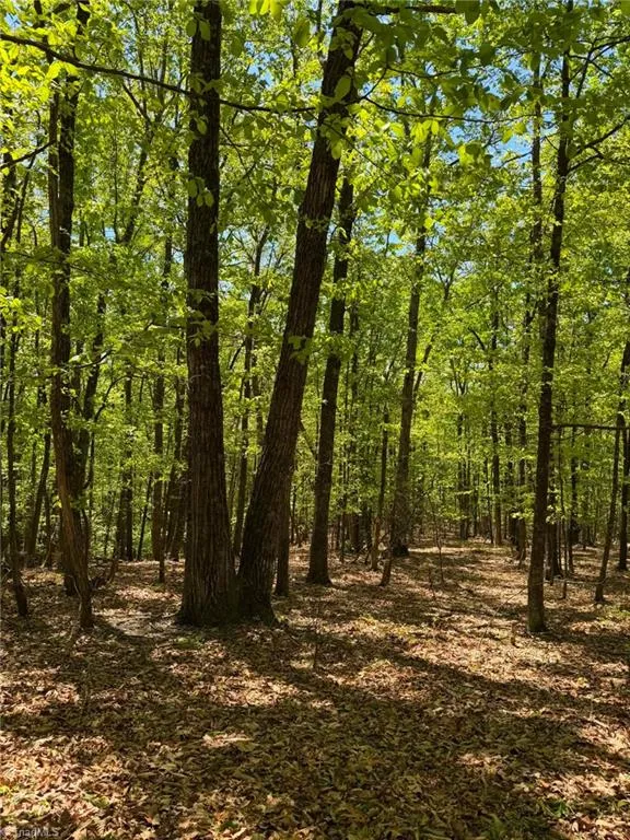 TBD Raven Ridge Trail Dobson, NC 27017