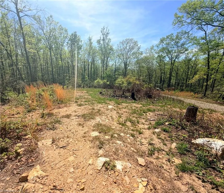TBD Raven Ridge Trail Dobson, NC 27017