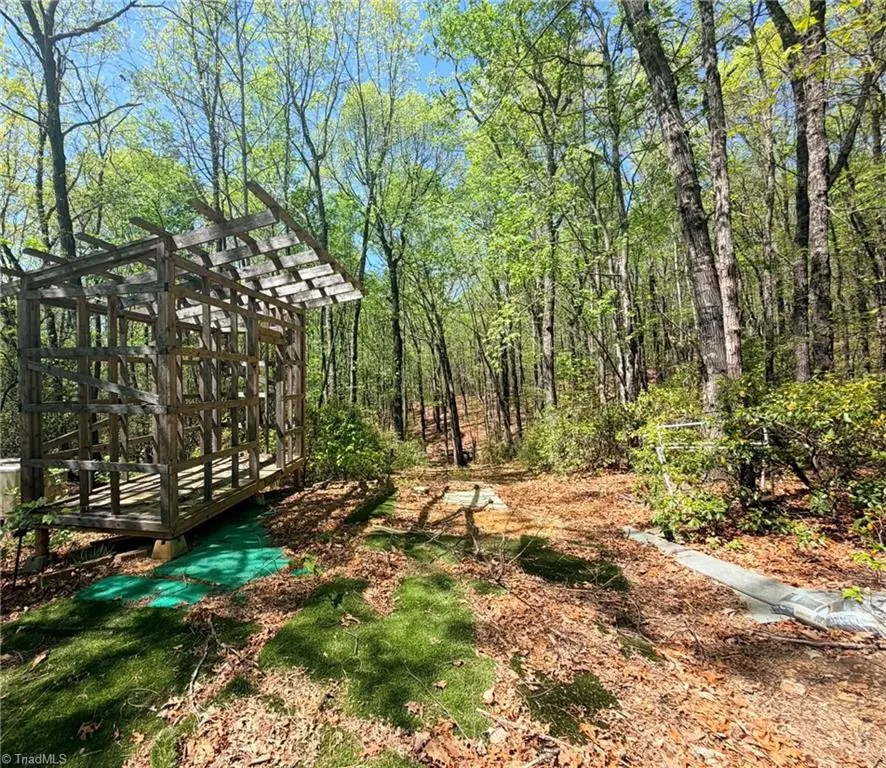TBD Raven Ridge Trail Dobson, NC 27017