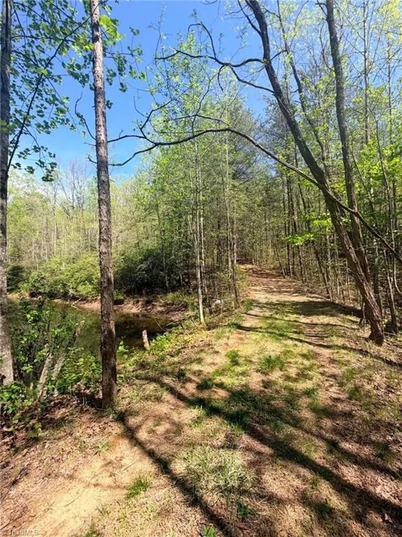 TBD Raven Ridge Trail Dobson, NC 27017