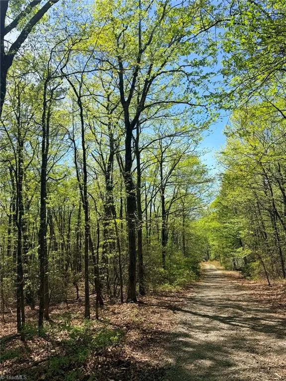 TBD Raven Ridge Trail Dobson, NC 27017