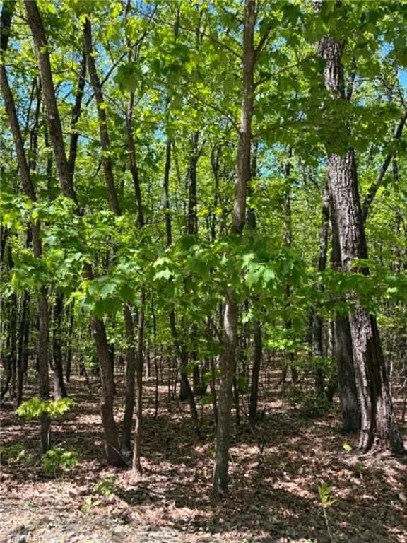 TBD Raven Ridge Trail Dobson, NC 27017