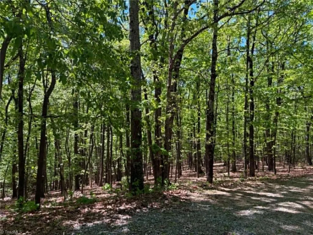 TBD Raven Ridge Trail Dobson, NC 27017