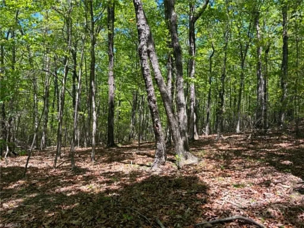 TBD Raven Ridge Trail Dobson, NC 27017