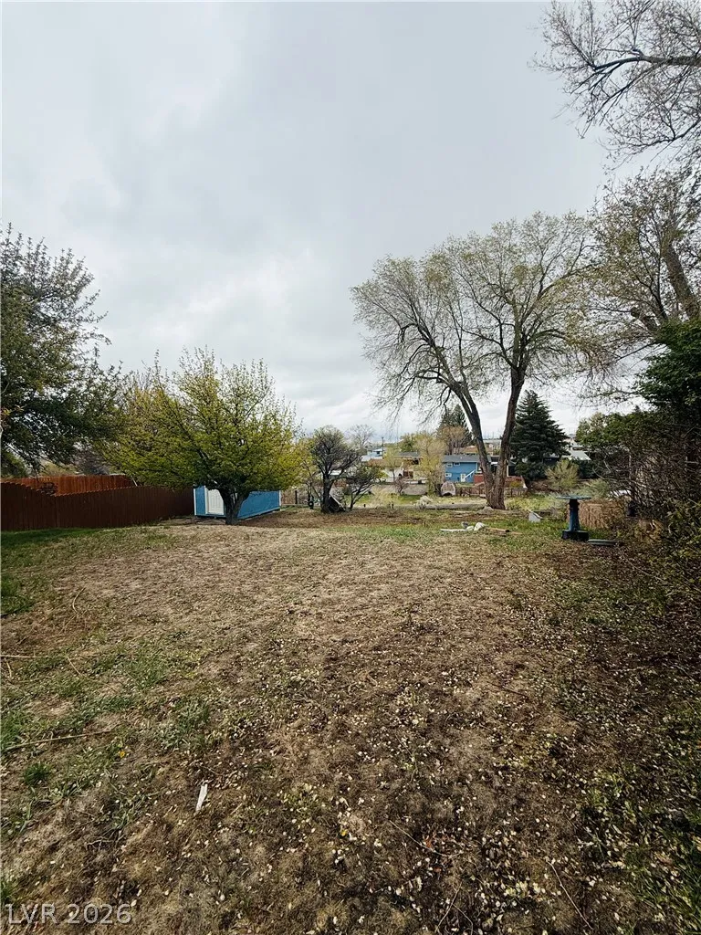 24 Elysium Drive Ely, NV 89301