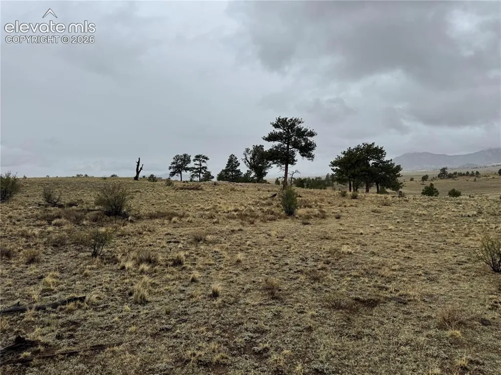 10682 Routt Road Lake George, CO 80827