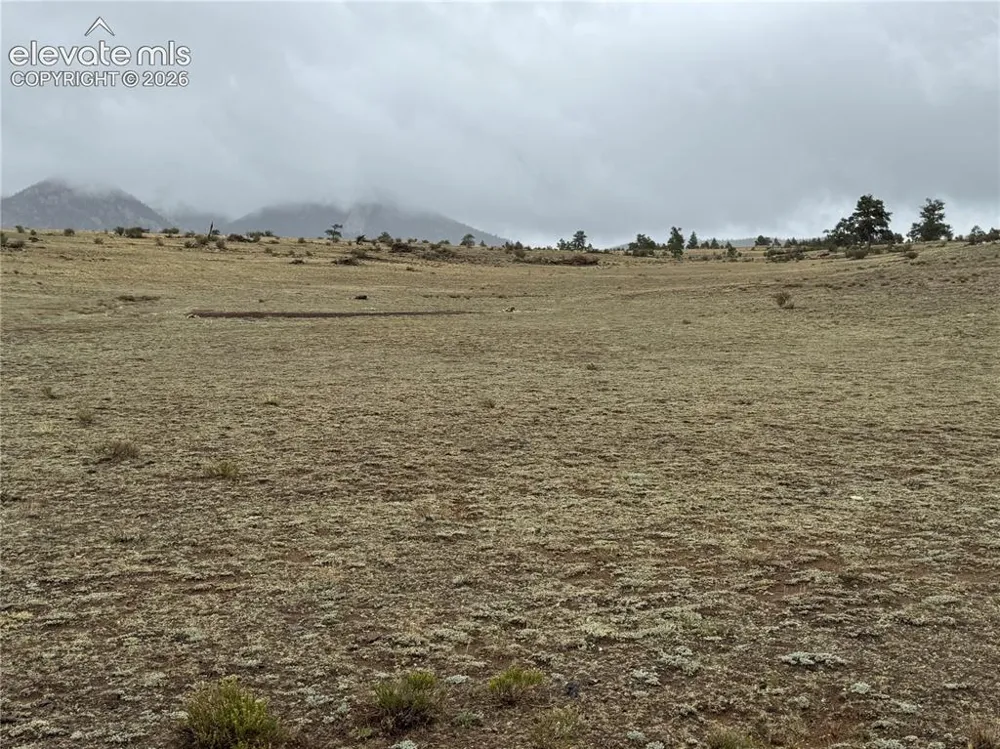 1685 Montezuma Road Lake George, CO 80827