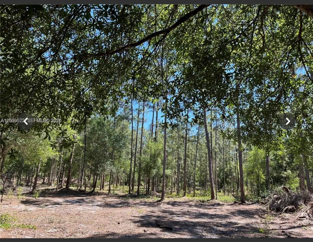 5120 18TH PIONEER Clewiston, FL 33440