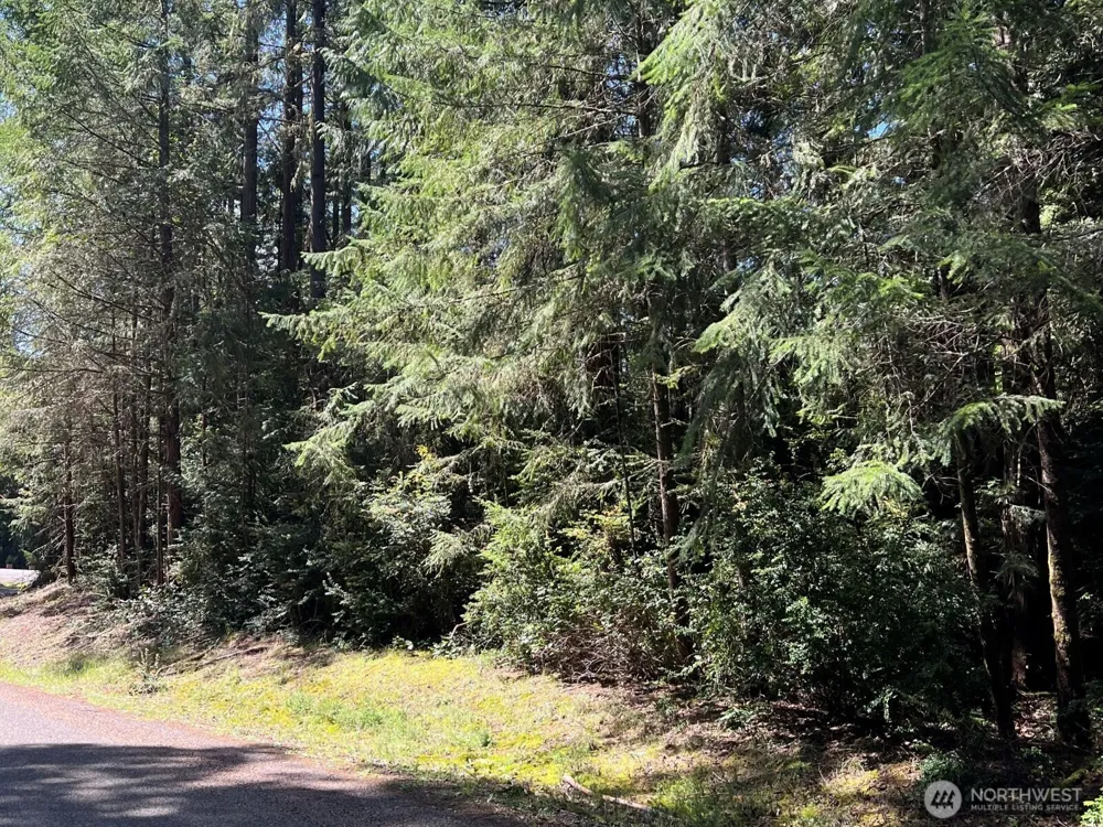 10919 Suncrest Drive Anderson Island, WA 98303