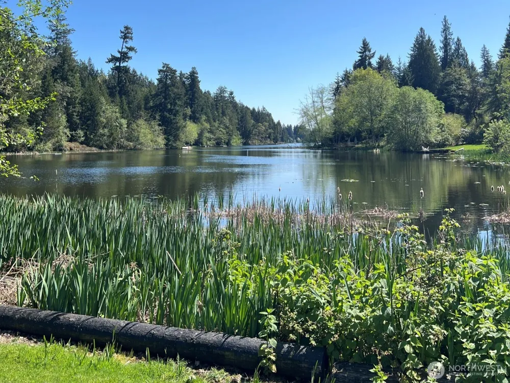 10919 Suncrest Drive Anderson Island, WA 98303