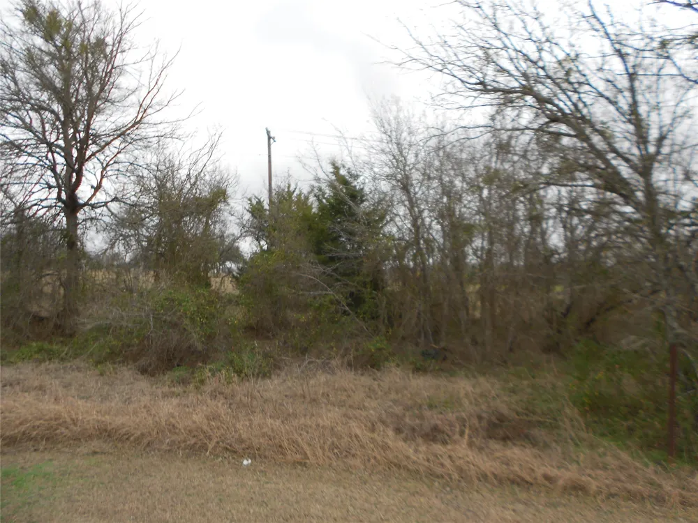 6612 Williamson Road Creedmoor, TX 78610