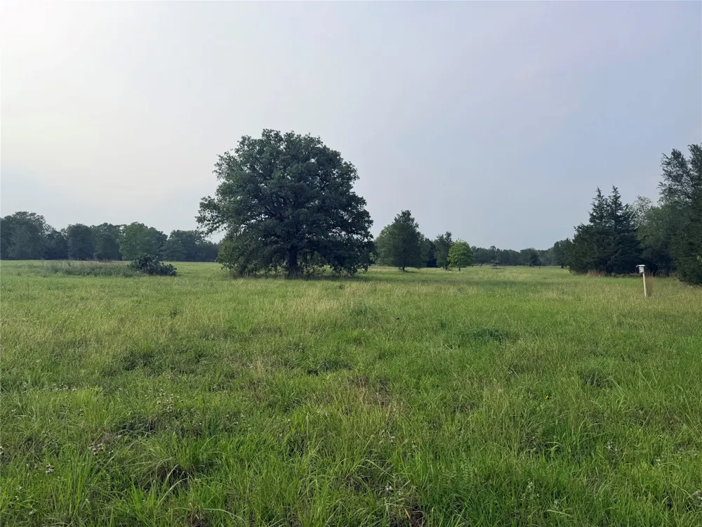 1766 Fm 2104 Paige, TX 78659