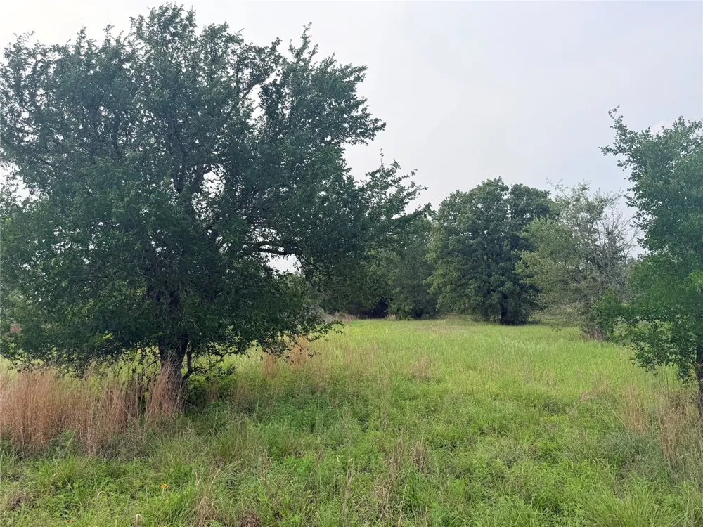 1766 Fm 2104 Paige, TX 78659