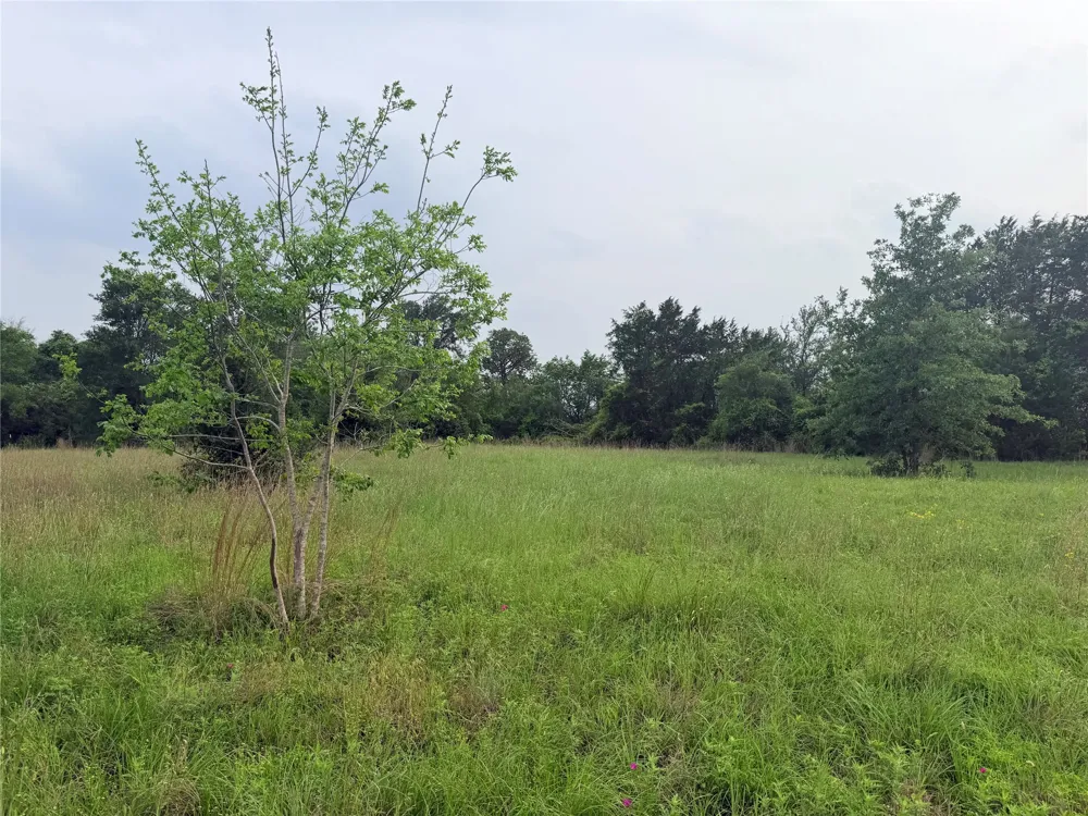 1766 Fm 2104 Paige, TX 78659