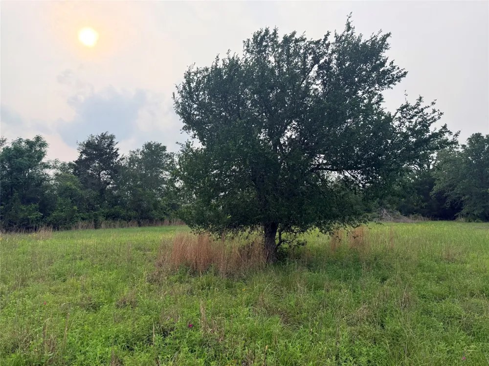 1766 Fm 2104 Paige, TX 78659