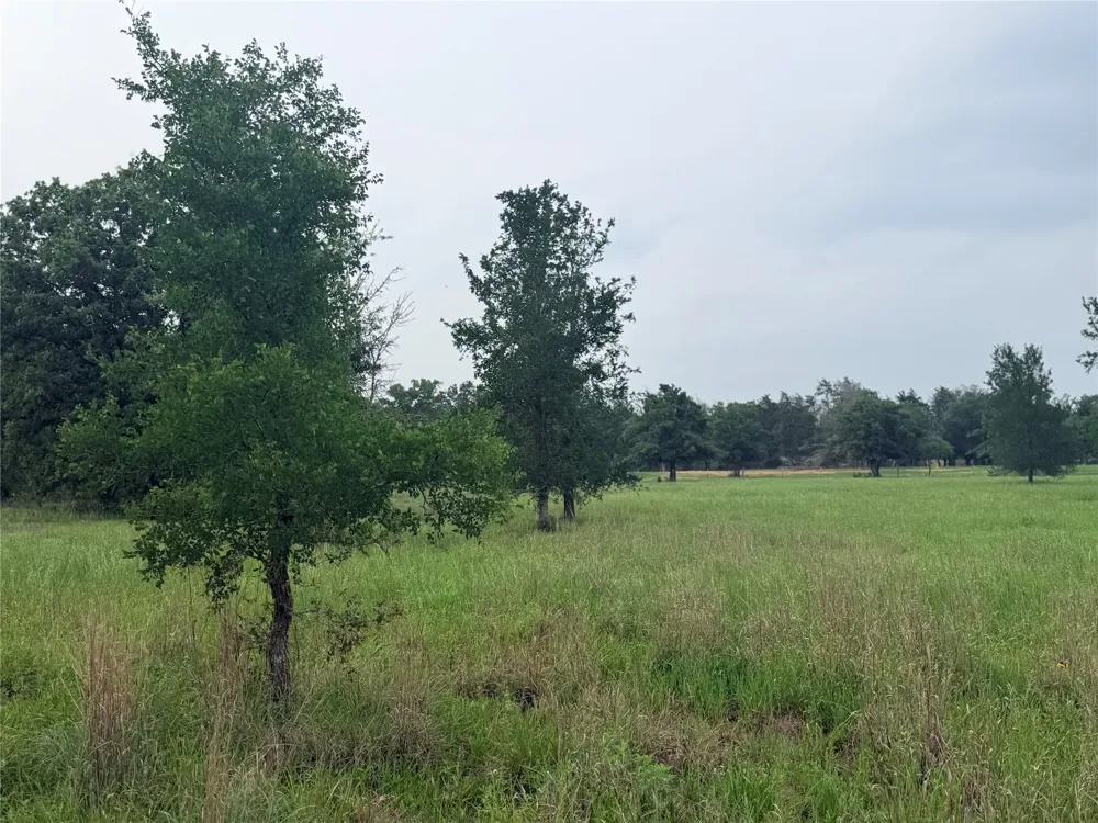 1766 Fm 2104 Paige, TX 78659