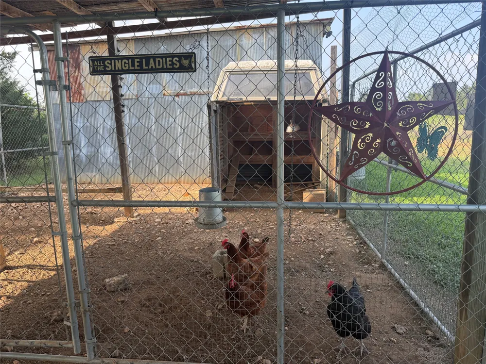 1766 Fm 2104 Paige, TX 78659