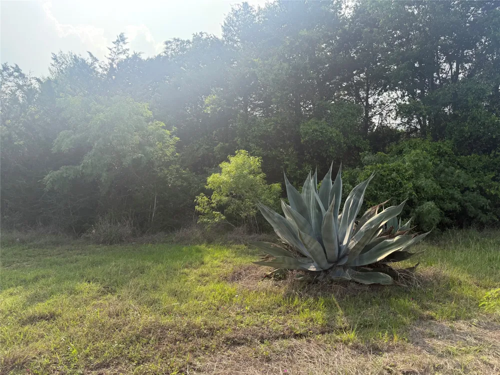 1766 Fm 2104 Paige, TX 78659