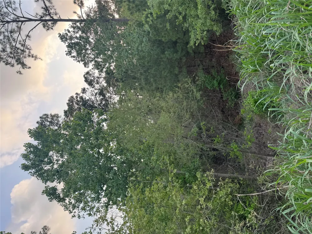 1386 Pahihi Drive Bastrop, TX 78602